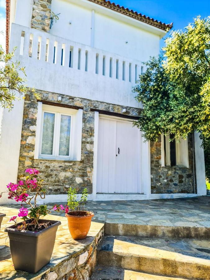 One-Bedroom House,1237066501:JPEG