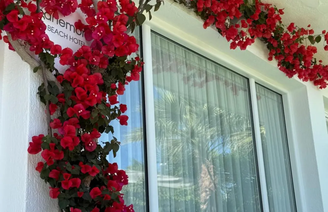 Anemoni Beach Hotel-1