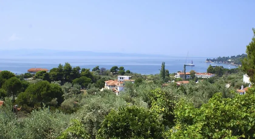 Yalis Studios-1