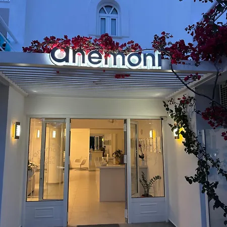 Anemoni Beach Hotel-3