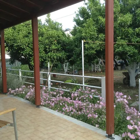 Studios Lalu-3