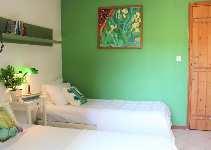 Villa Olive Yard House Skopelos