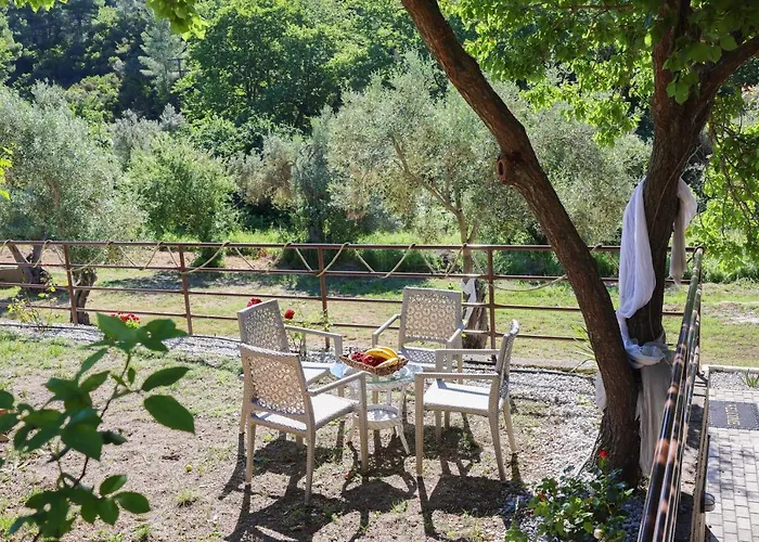 F & B Summer Collection- Skiathos -Maistrali Troulos che accetta animali