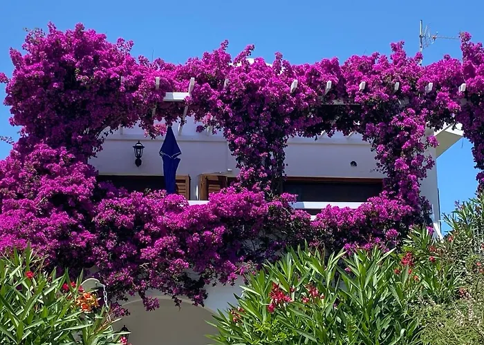 Achladies Beach Apartment che accetta animali