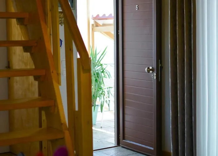 Aura Skiathos che accetta animali