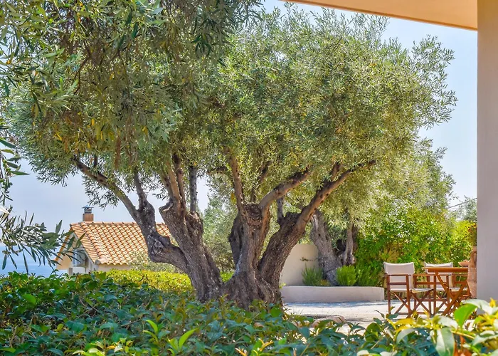 Apartments Villa L&M Skiathos Kalivia 
