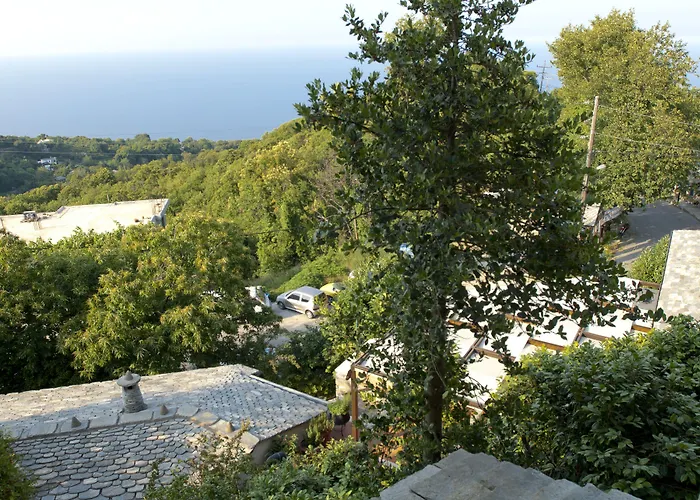 Aleka'S House Ξενοδοχείο Pelion