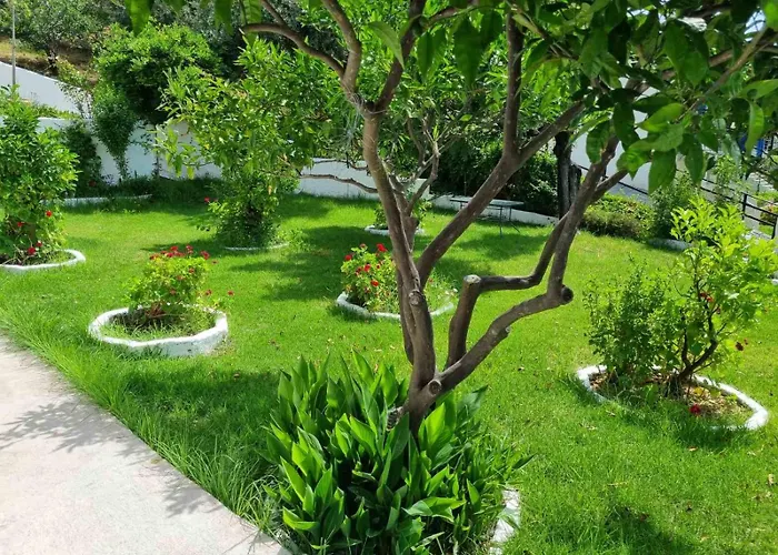 Mango Skiathos