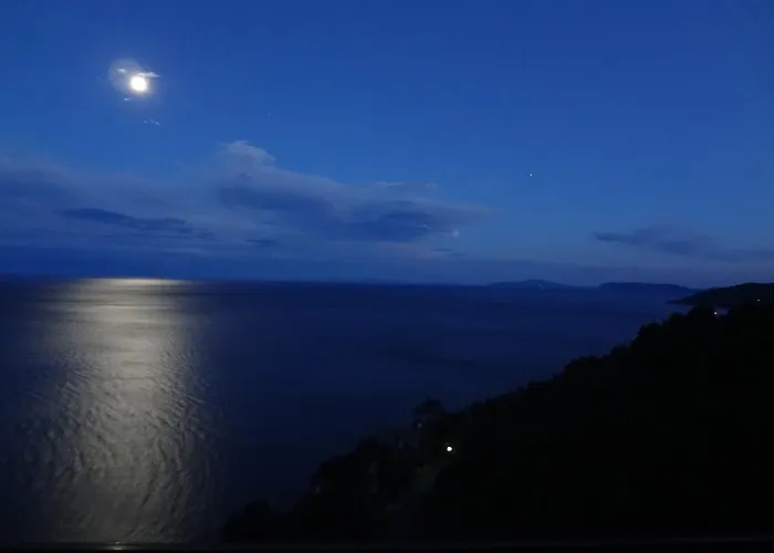 Αγγέλικα Ξενοδοχείο Τσαγκαράδα